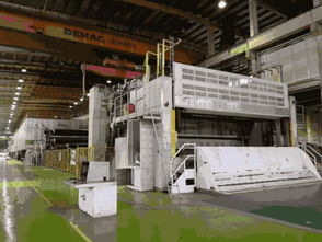 上海中隆将已停产的年产45万吨包装纸机搬往越南生产